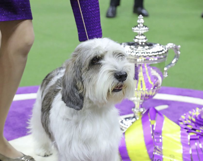 Armchair Reflections on Westminster